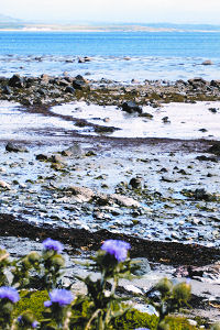 Beach View
